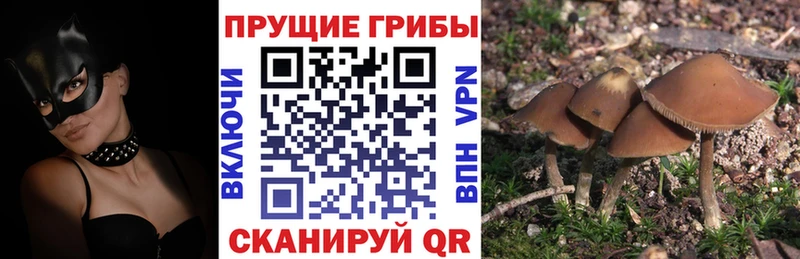 Купить закладки  Верещагино  Псилоцибиновые грибы мухоморы 